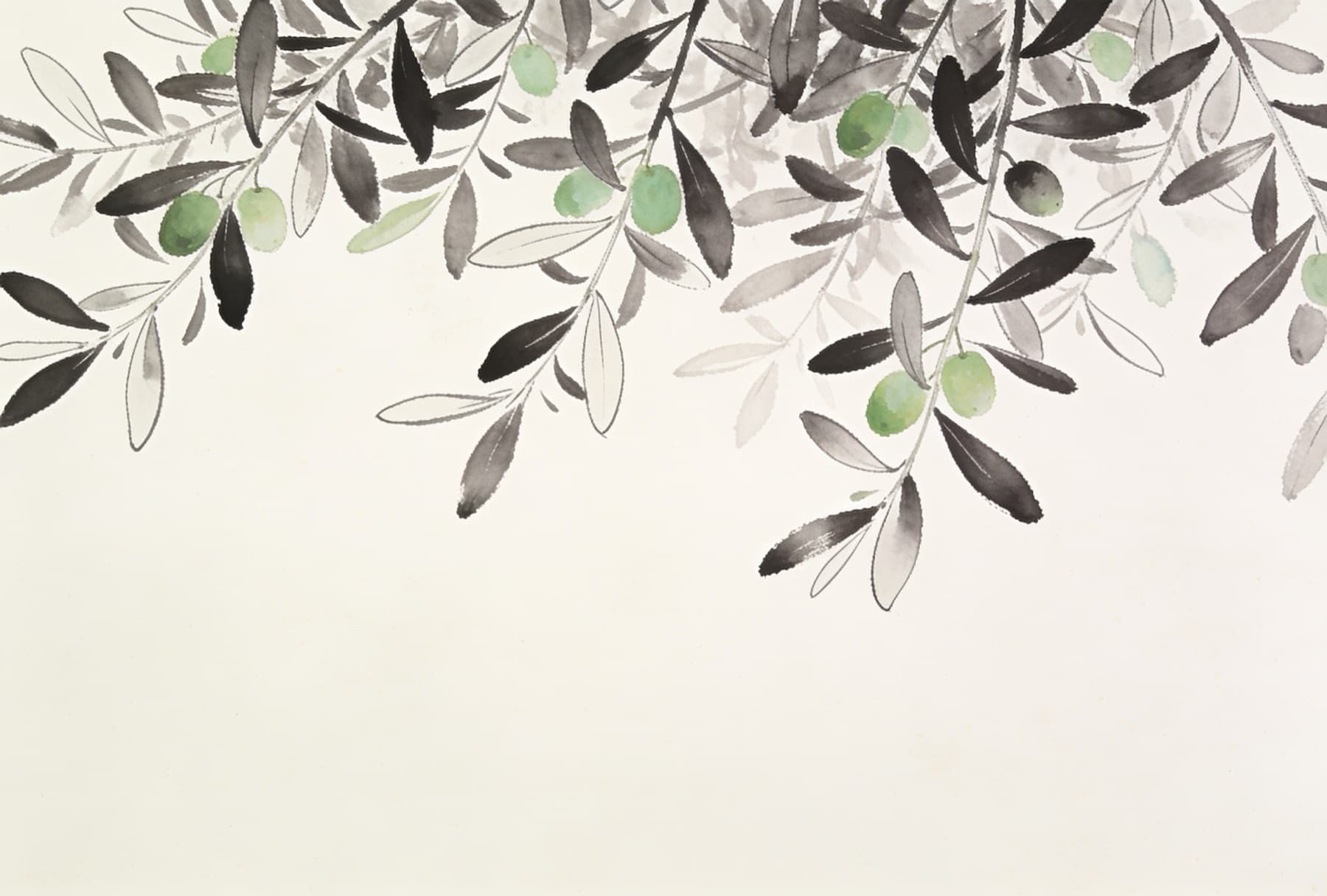 Ink-drawn olive branches with soft green olives on warm white